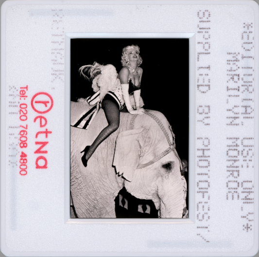 "The Story Behind Marilyn Monroe’s Iconic Elephant Photo | Blackbird Edition Prints"