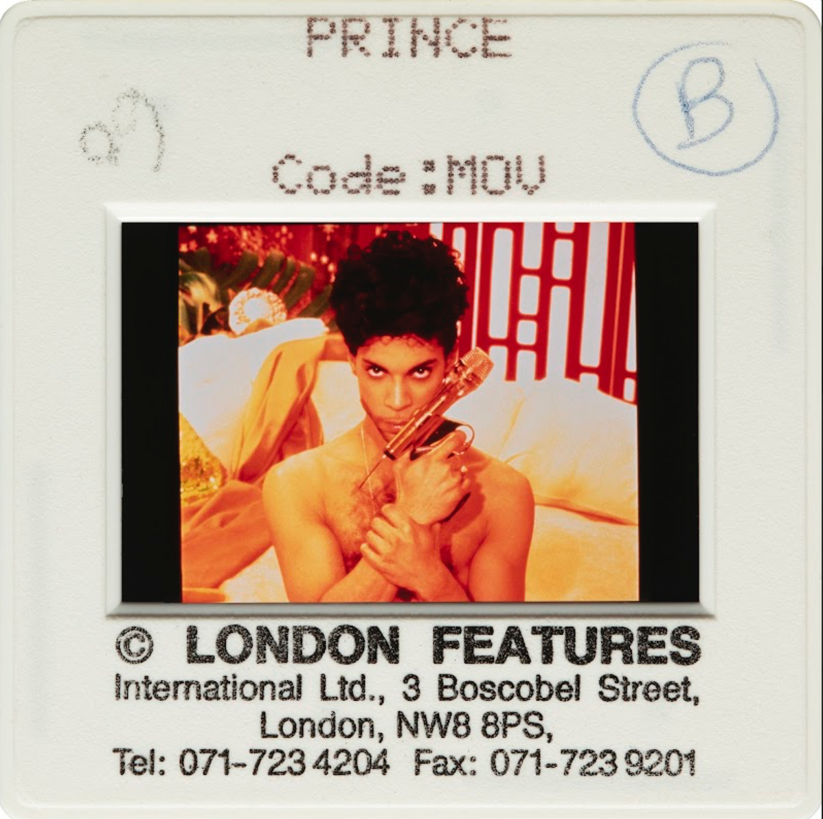 Prince with a Golden Gun